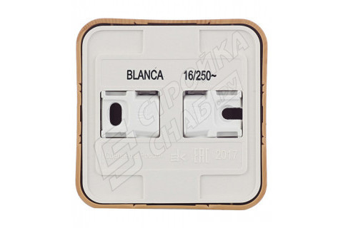 Розетка Schneider Electric Blanca BLNRA000115 открытая установка ясень Розетка Schneider Electric Blanca BLNRA000115 открытая установка ясень