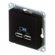 Розетка USB Schneider Electric Atlas Design ATN001033 скрытая установка карбон два модуля USB Розетка USB Schneider Electric Atlas Design ATN001033 скрытая установка карбон два модуля USB